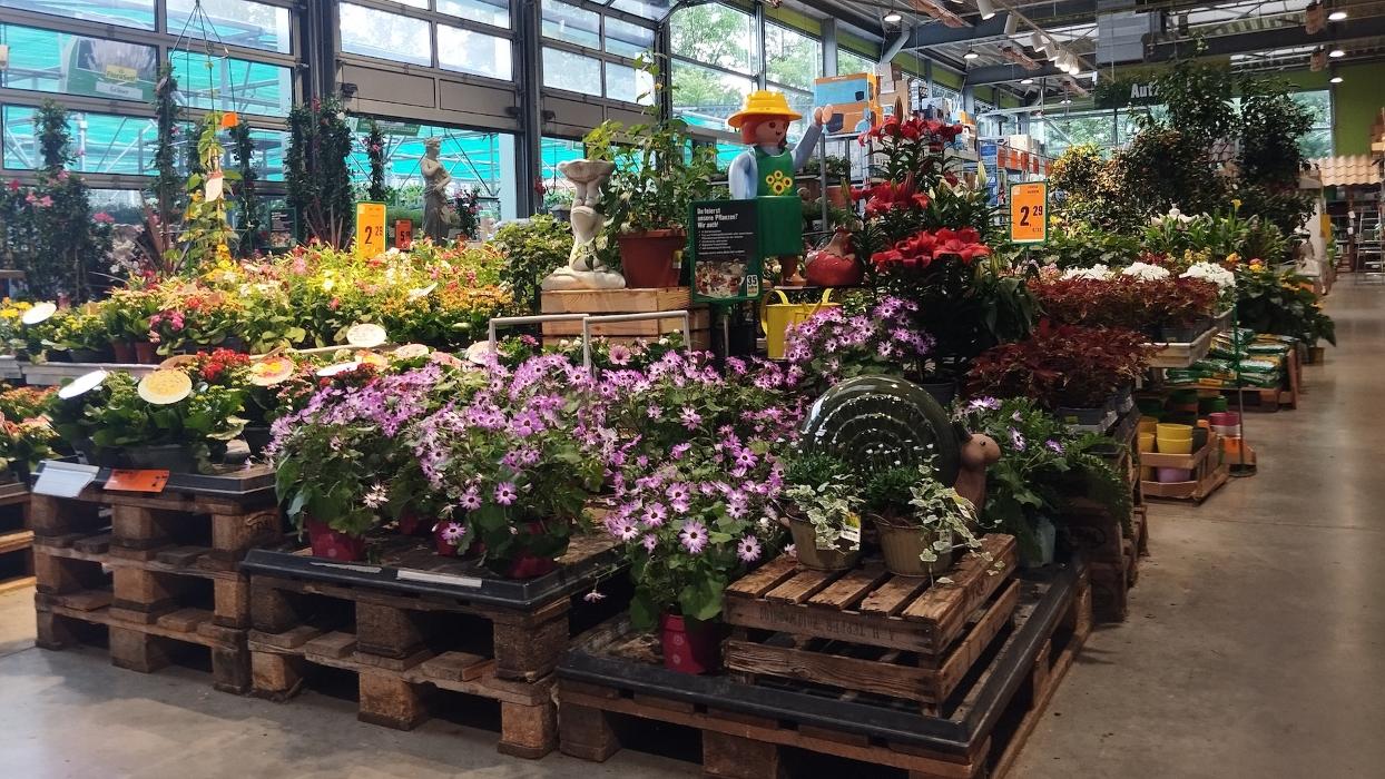 HORNBACH Gartencenter Sinsheim, Dührener Straße in Sinsheim