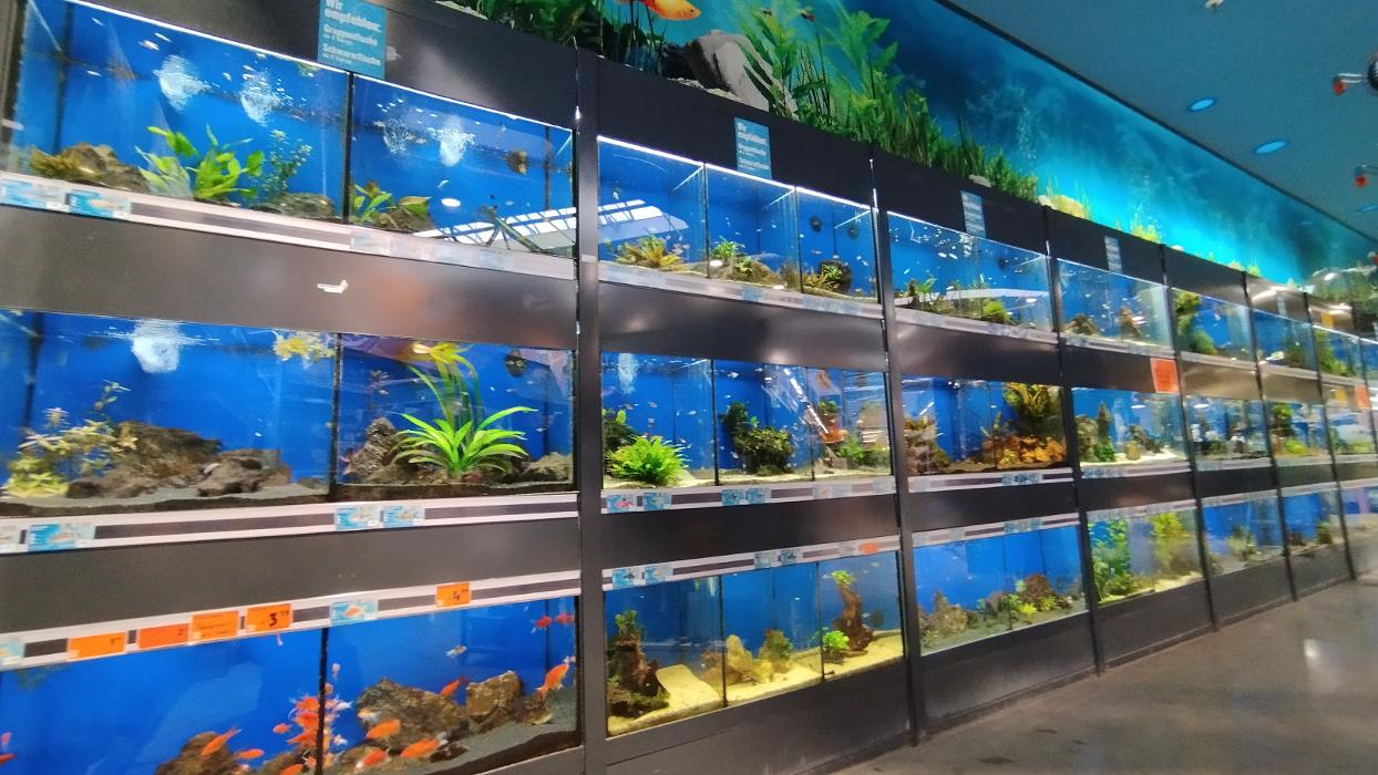 HORNBACH Gartencenter Sinsheim, Dührener Straße in Sinsheim