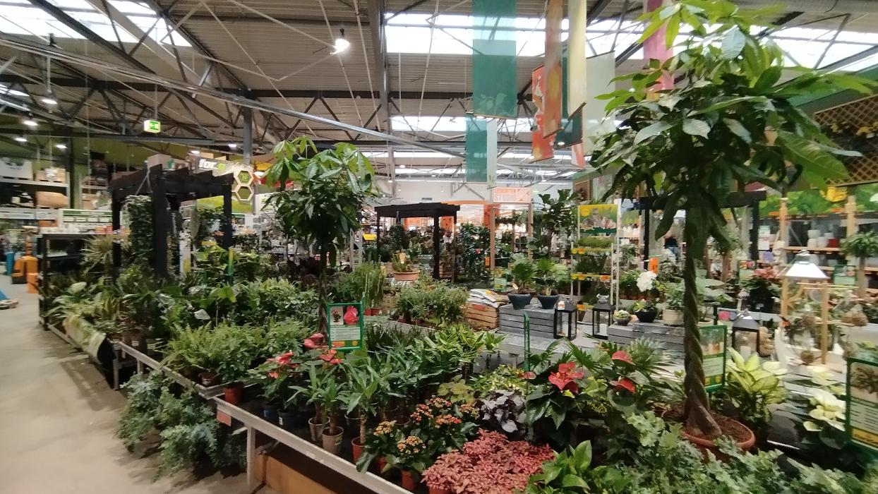 HORNBACH Gartencenter Sinsheim, Dührener Straße in Sinsheim