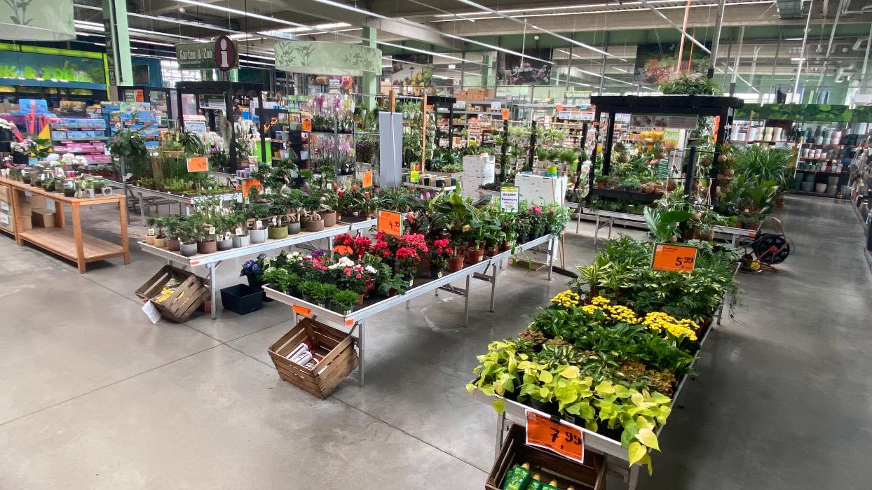 HORNBACH Gartencenter Hamburg-Eidelstedt, Holsteiner Chaussee in Hamburg