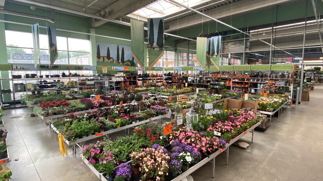 HORNBACH Gartencenter Hamburg-Eidelstedt, Holsteiner Chaussee in Hamburg