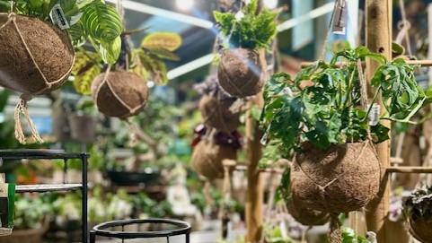 HORNBACH Gartencenter Leipzig - Alte Messe, Richard-Lehmann-Straße in Leipzig