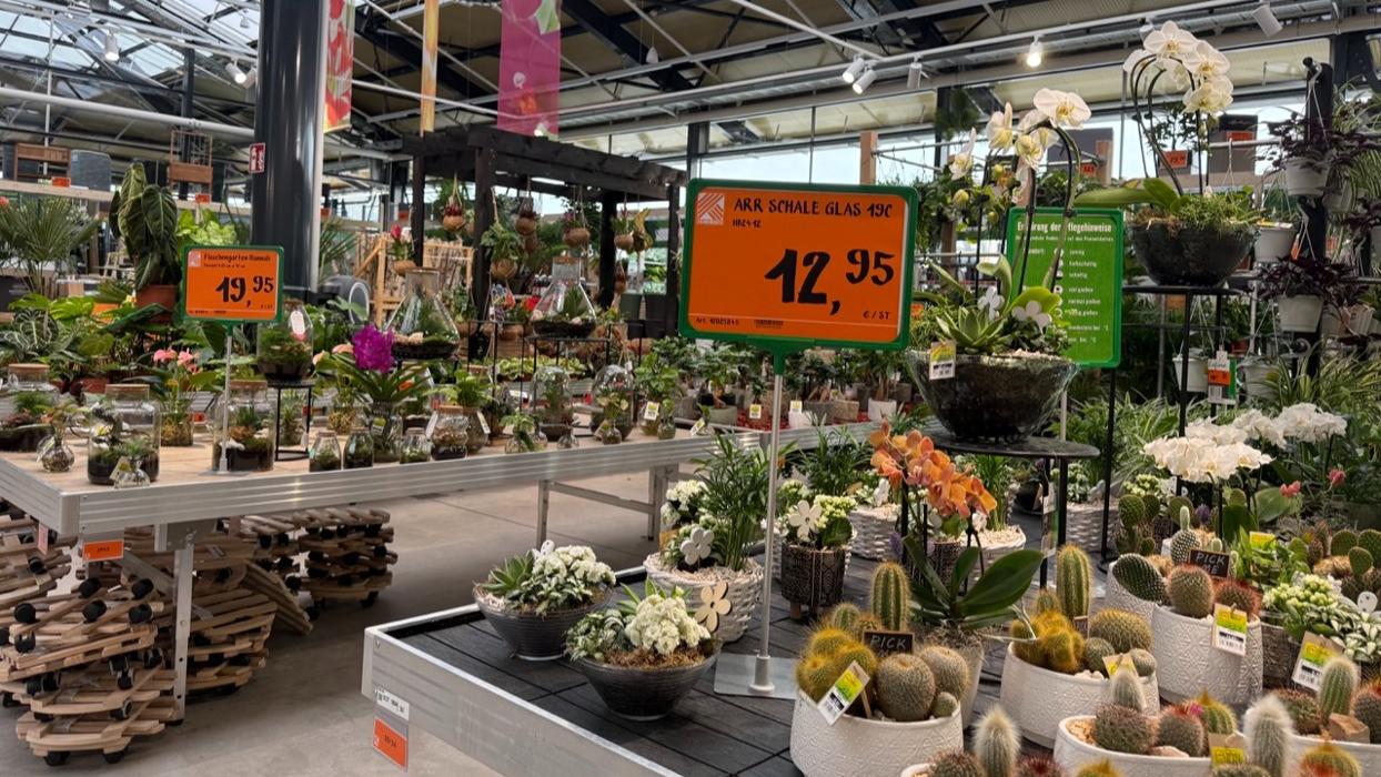 HORNBACH Gartencenter Duisburg-Wanheimerort, Düsseldorfer Straße in Duisburg