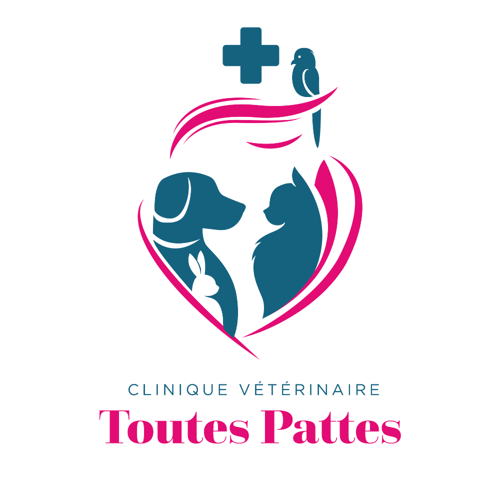 Clinique Vétérinaire Toutes Pattes (ex du Bas Poitou) Expert