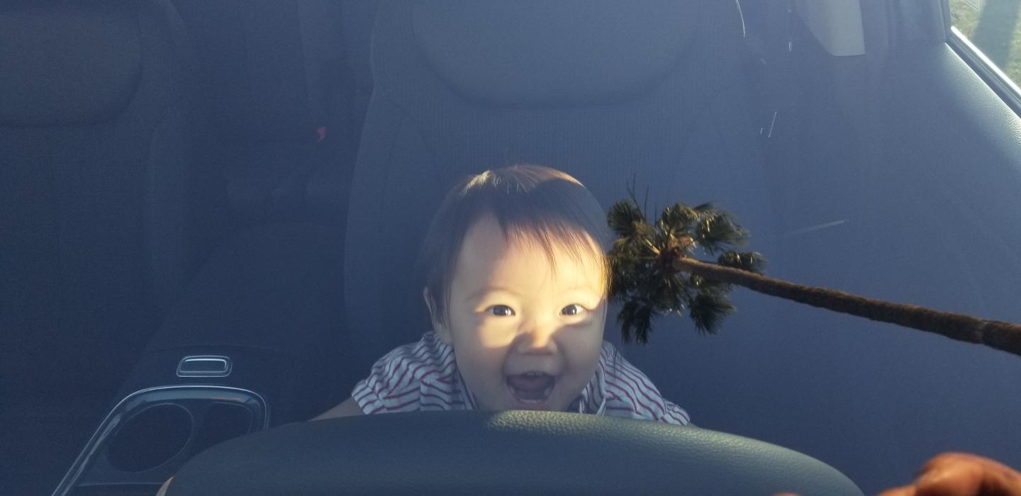 Tustin Hyundai Image