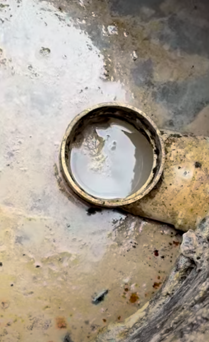 RooterMan Orlando Florida Image