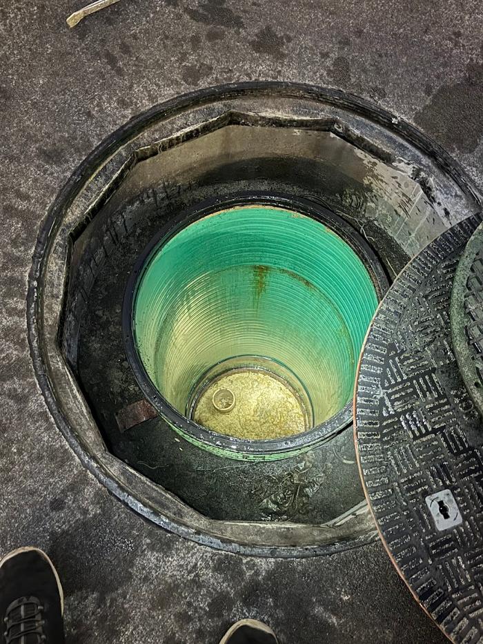 RooterMan Orlando Florida Image