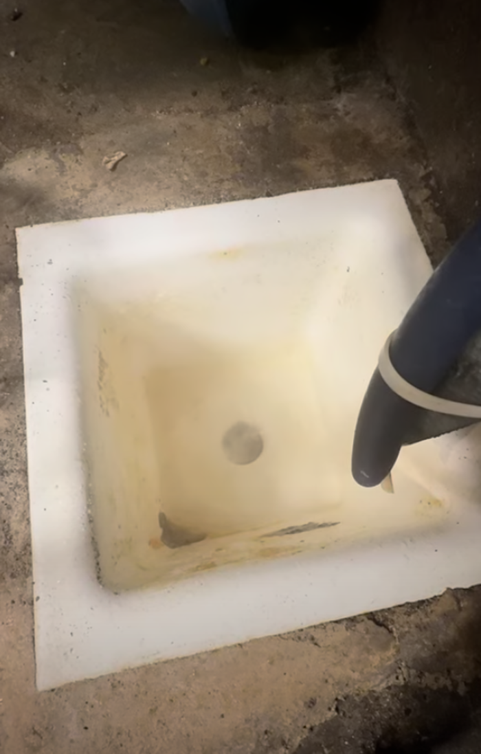 RooterMan Orlando Florida Image