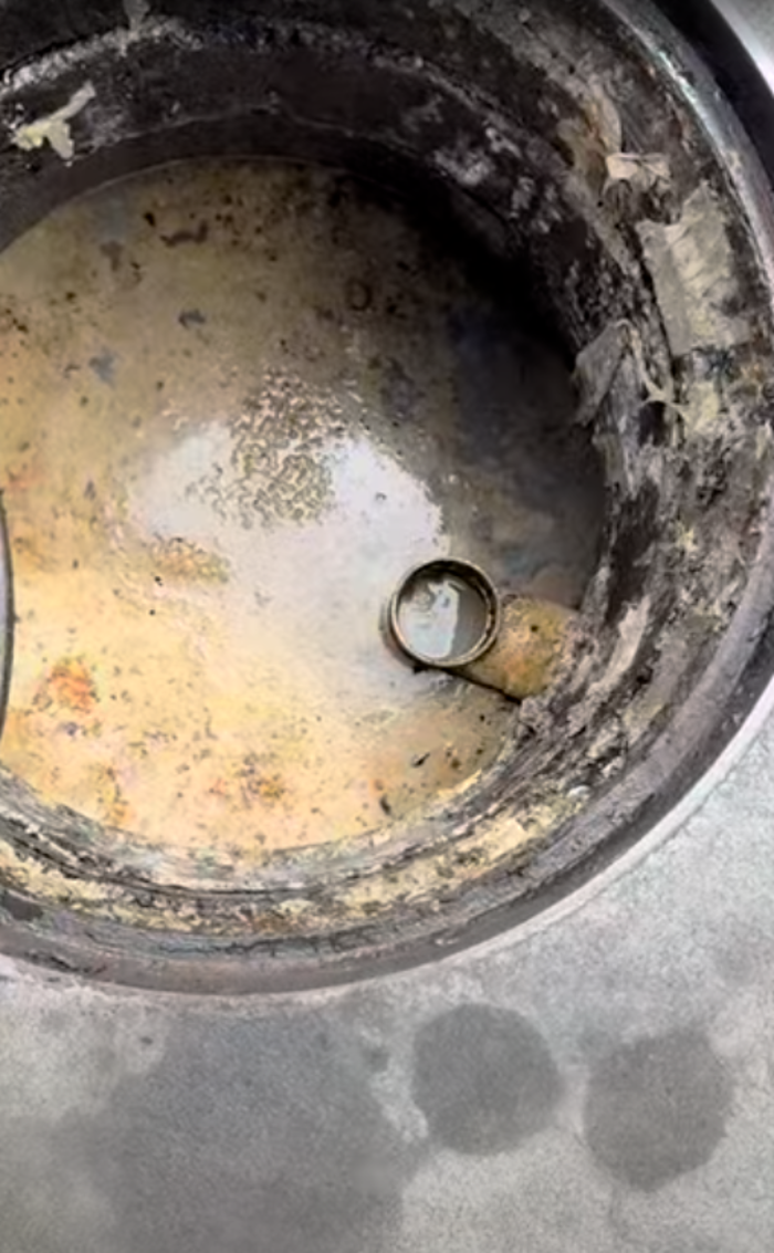 RooterMan Orlando Florida Image