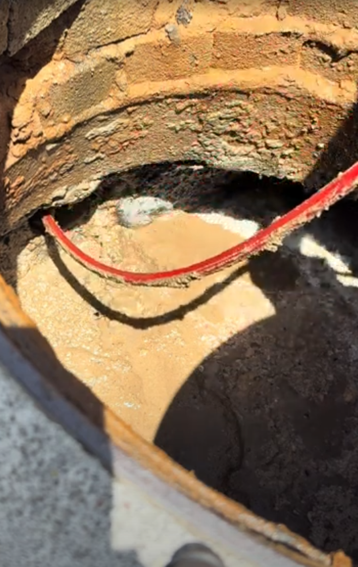 RooterMan Orlando Florida Image