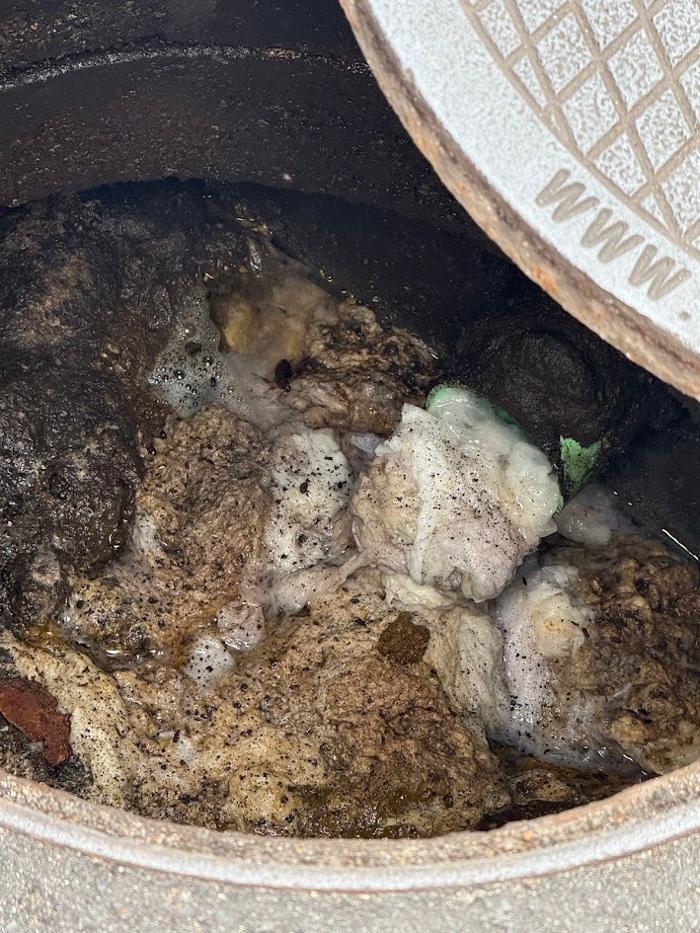 RooterMan Orlando Florida Image