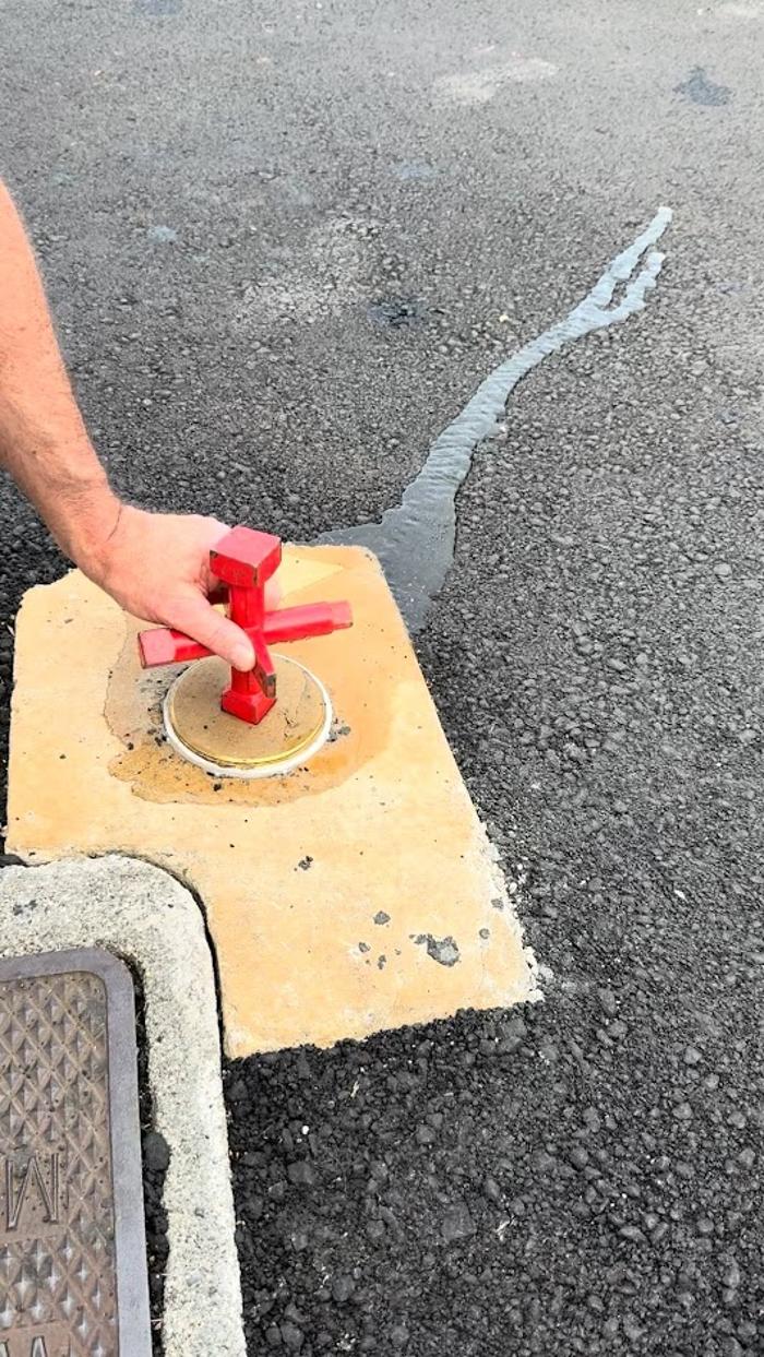 RooterMan Orlando Florida Image