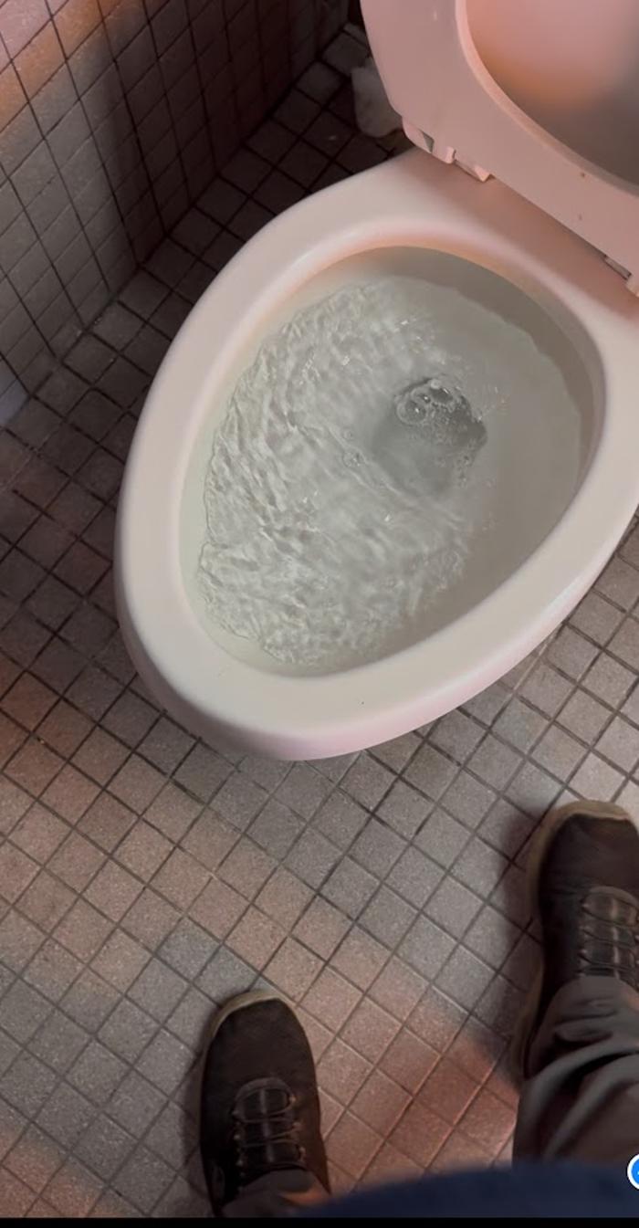 RooterMan Orlando Florida Image