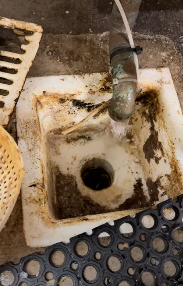 RooterMan Orlando Florida Image