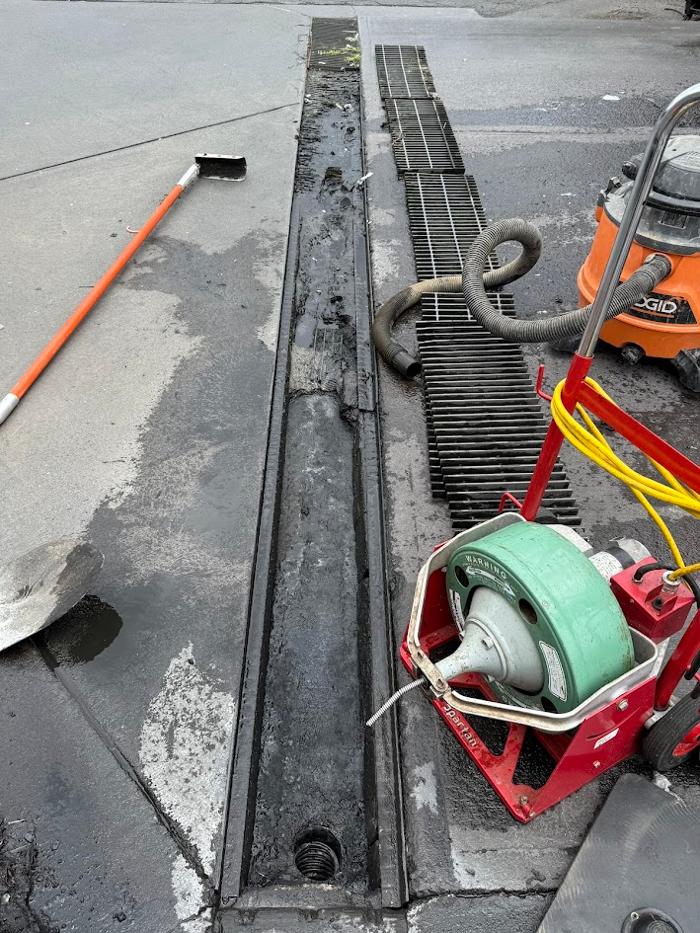 RooterMan Orlando Florida Image