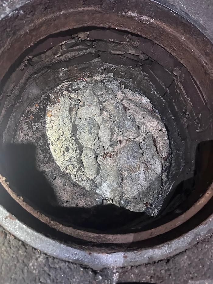 RooterMan Orlando Florida Image