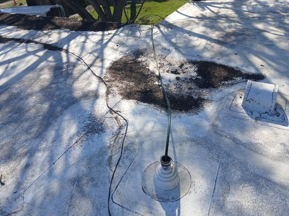 RooterMan Orlando Florida Image