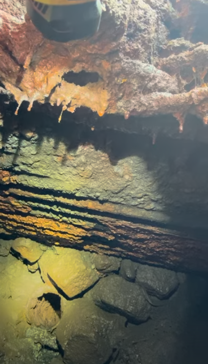 RooterMan Orlando Florida Image