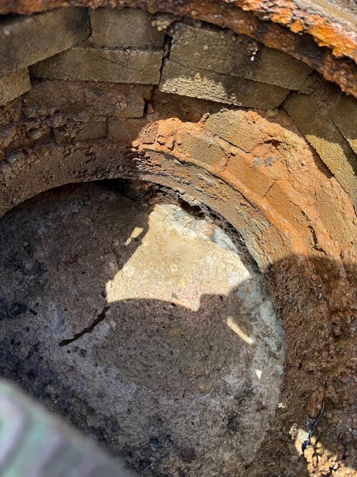 RooterMan Orlando Florida Image