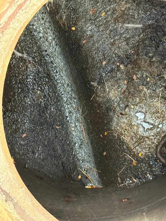 RooterMan Orlando Florida Image