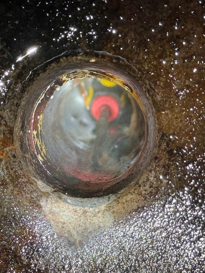 RooterMan Orlando Florida Image