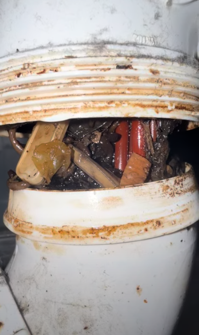 RooterMan Orlando Florida Image