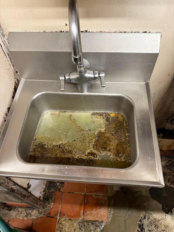 RooterMan Orlando Florida Image