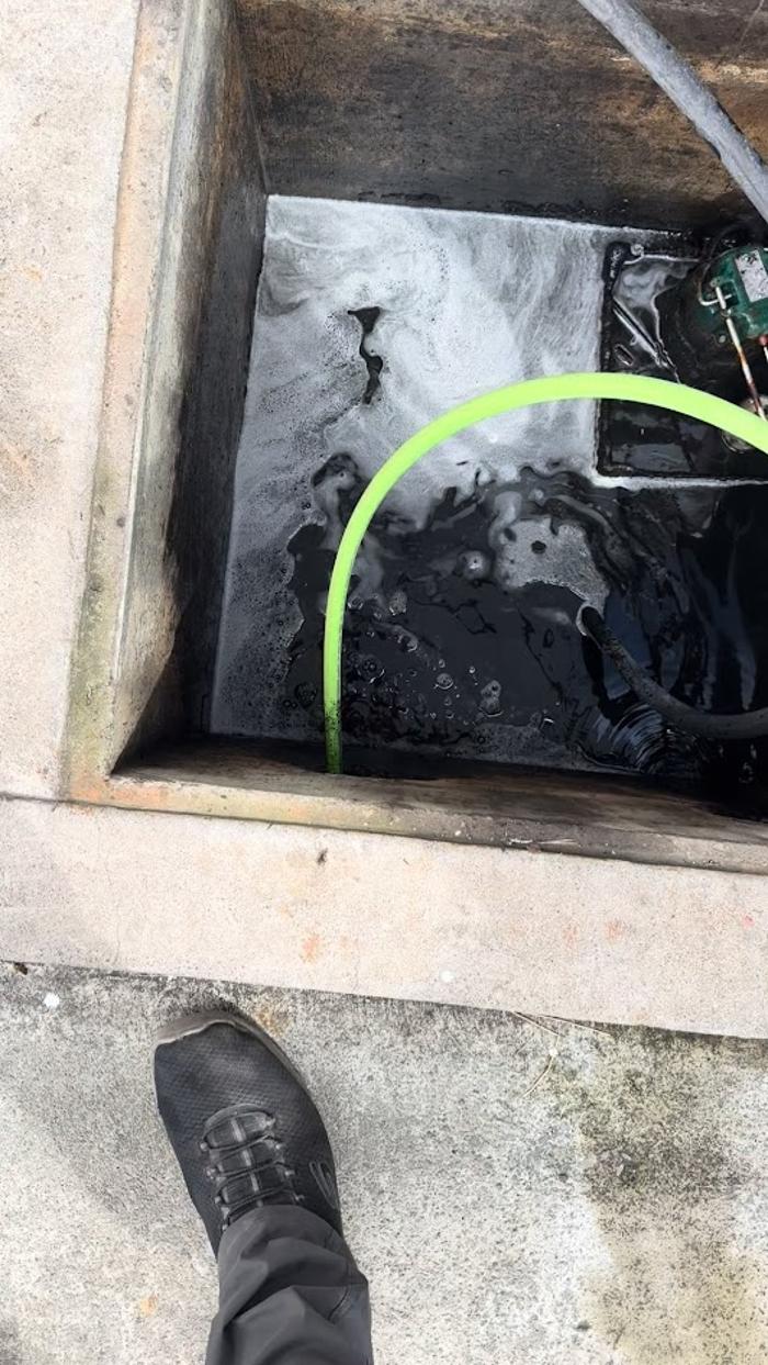 RooterMan Orlando Florida Image