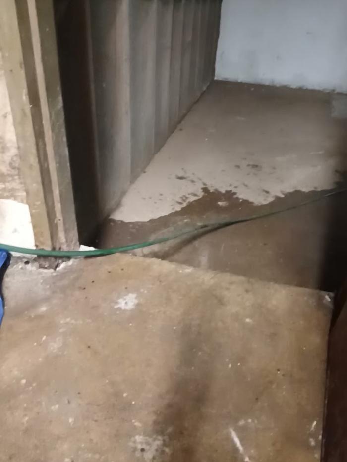 RooterMan Orlando Florida Image