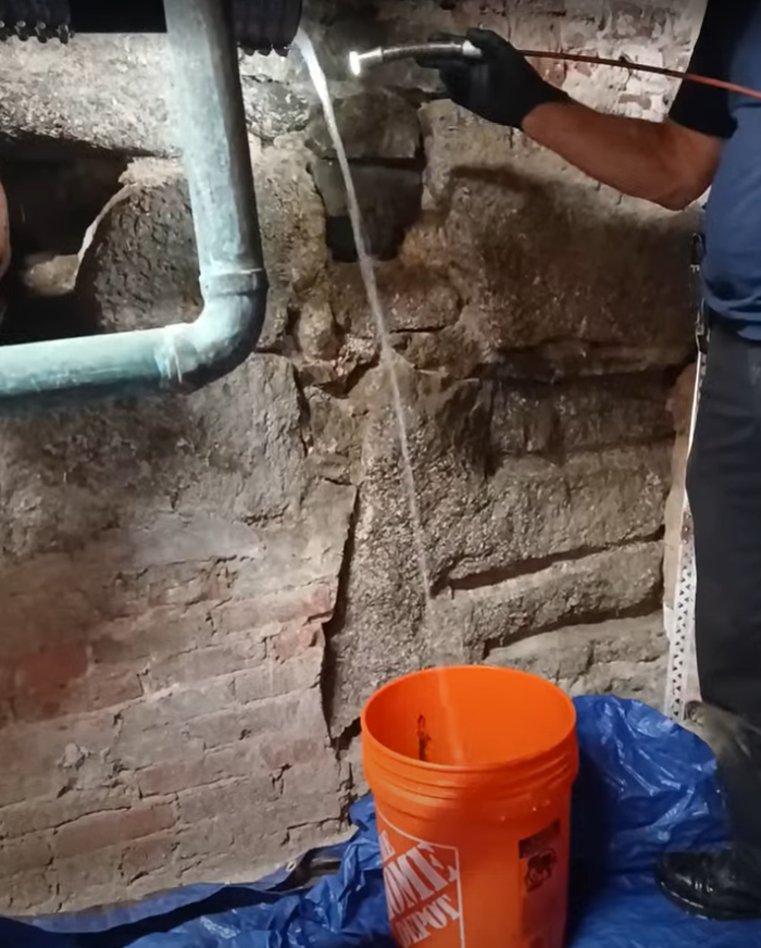 RooterMan Orlando Florida Image