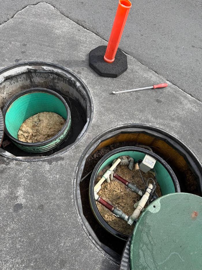 RooterMan Orlando Florida Image