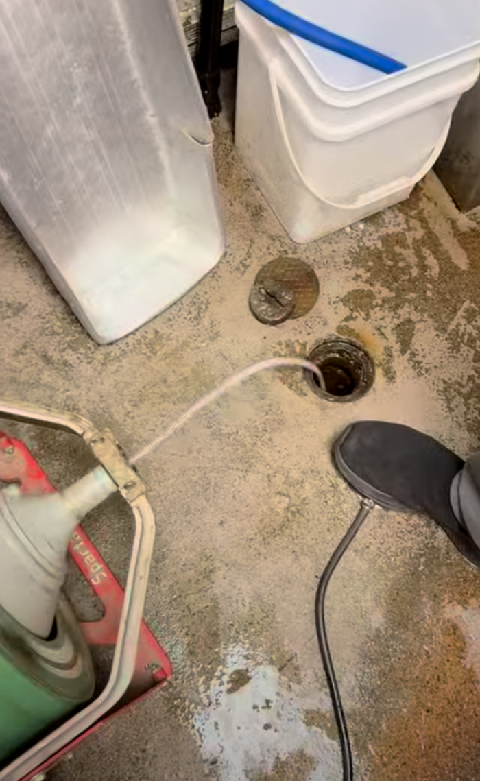 RooterMan Orlando Florida Image