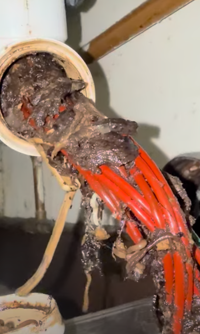 RooterMan Orlando Florida Image