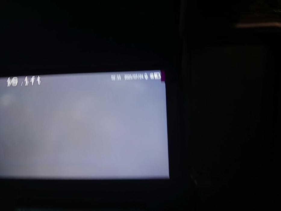 RooterMan Orlando Florida Image