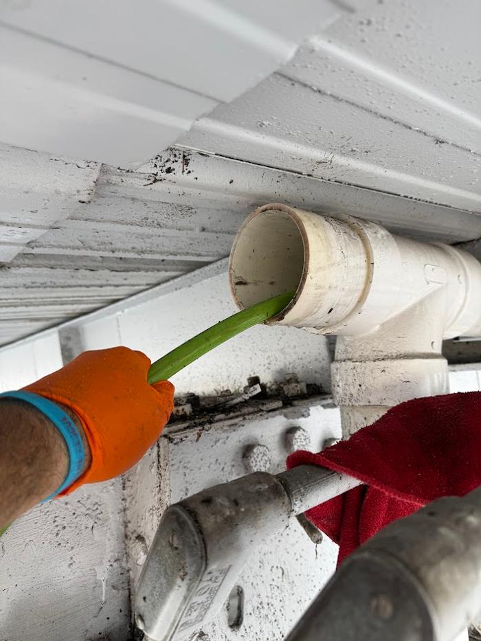 RooterMan Orlando Florida Image