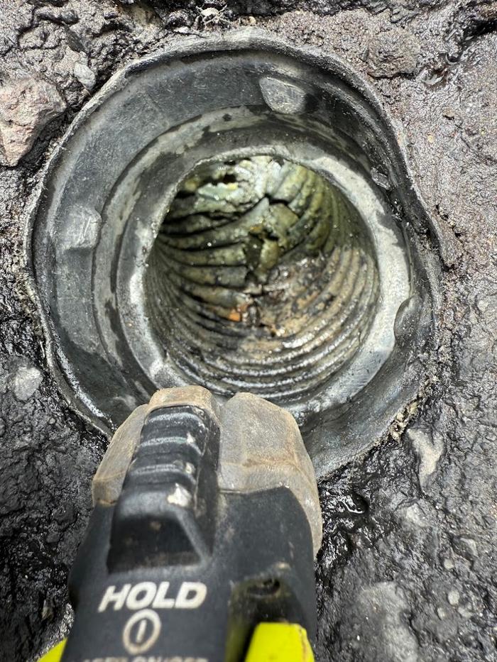 RooterMan Orlando Florida Image