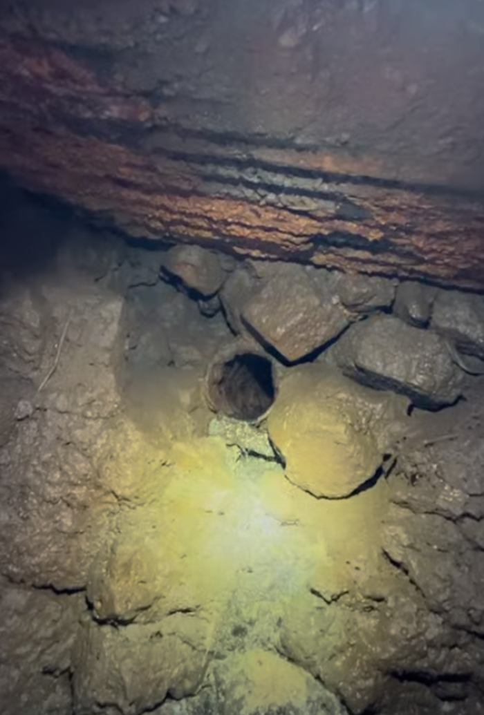 RooterMan Orlando Florida Image