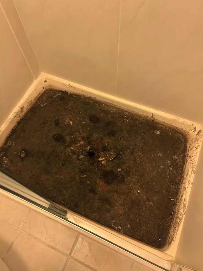 RooterMan Orlando Florida Image