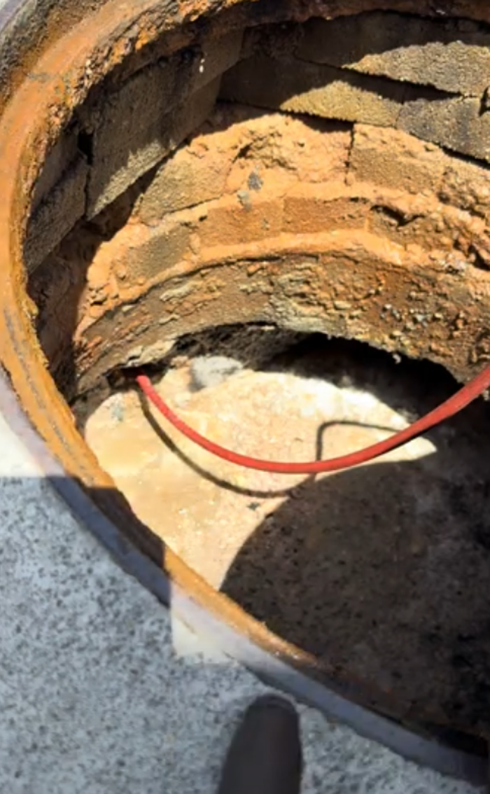 RooterMan Orlando Florida Image