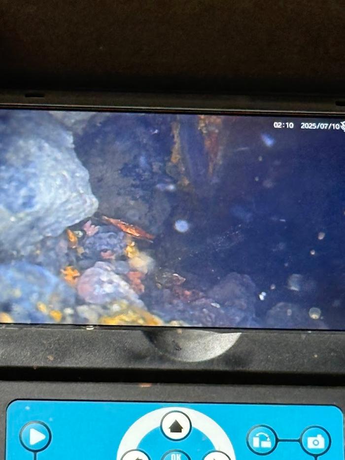 RooterMan Orlando Florida Image