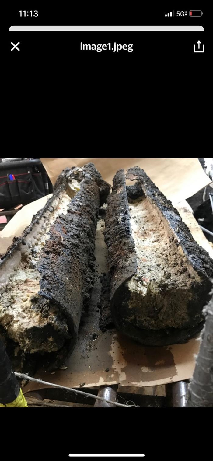 RooterMan Orlando Florida Image