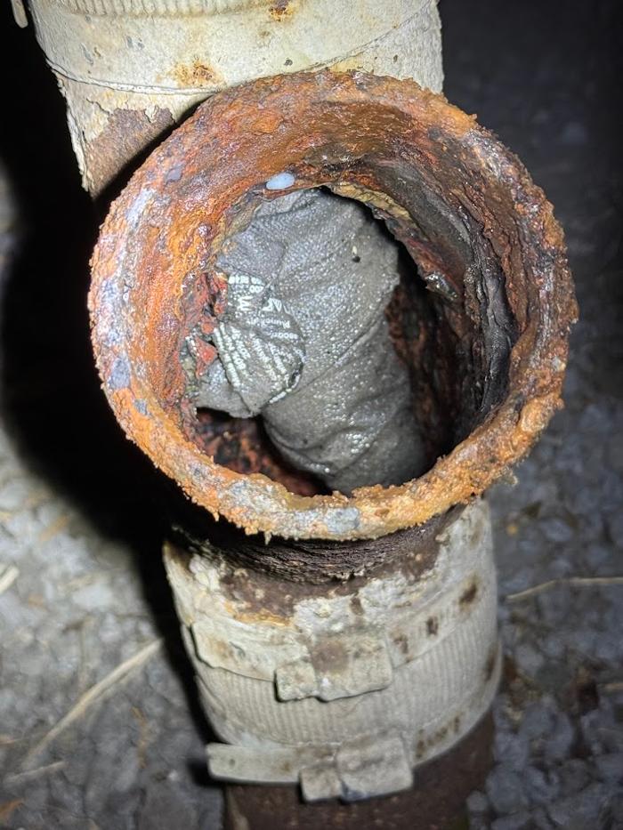 RooterMan Orlando Florida Image