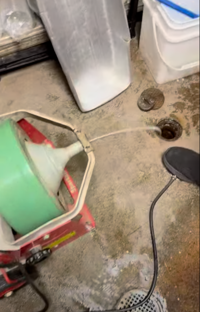 RooterMan Orlando Florida Image