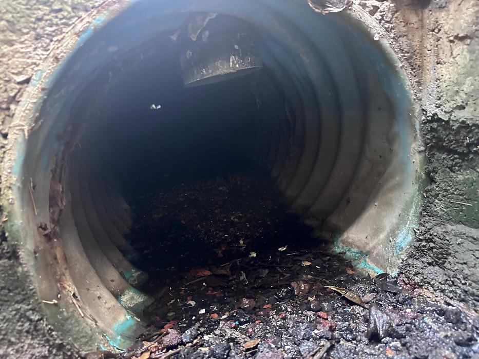 RooterMan Orlando Florida Image