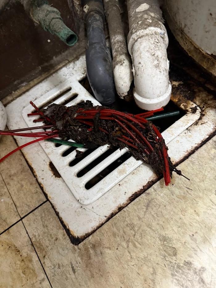 RooterMan Orlando Florida Image