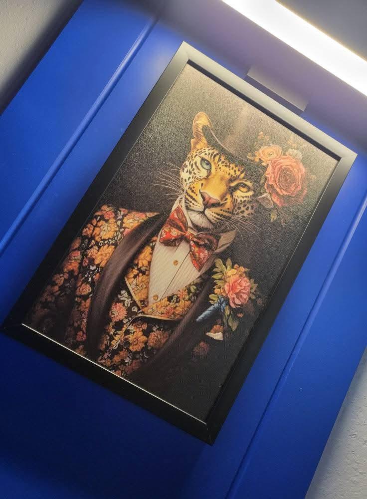 galerie image