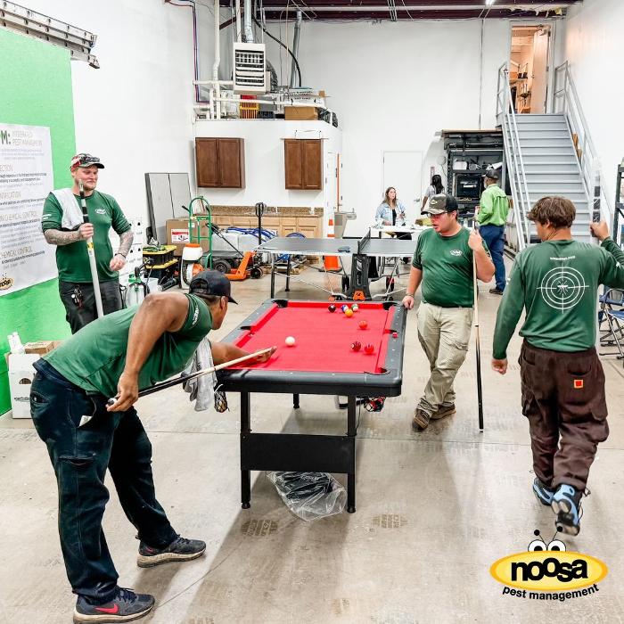 Noosa Pest Management LLC Image