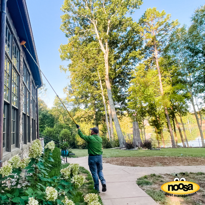 Noosa Pest Management LLC Image