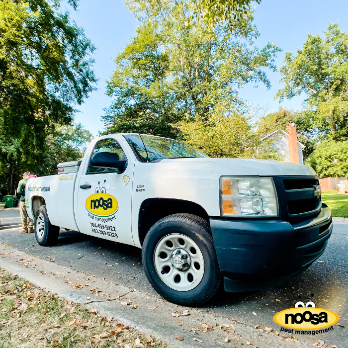 Noosa Pest Management LLC Image