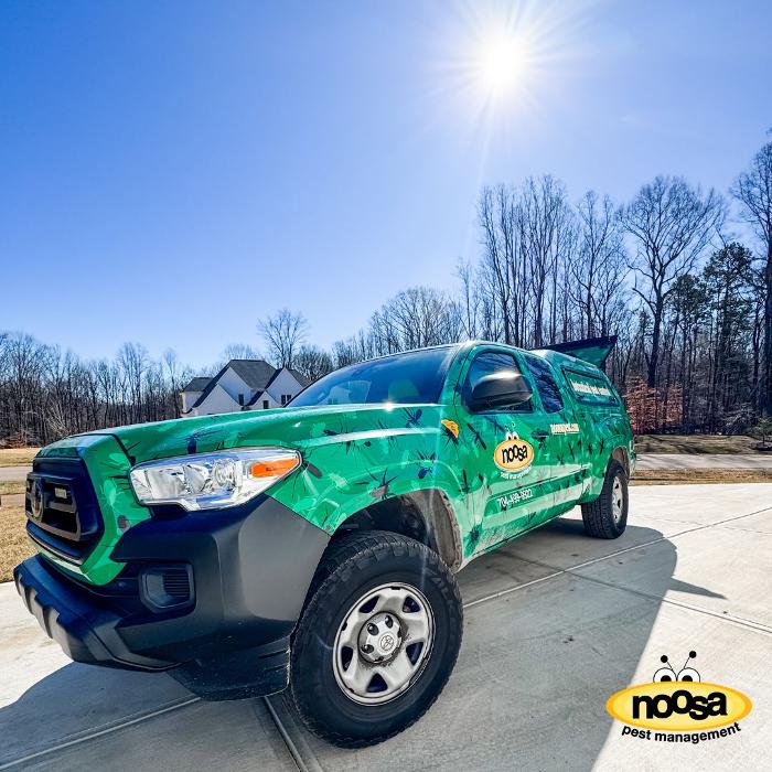 Noosa Pest Management LLC Image